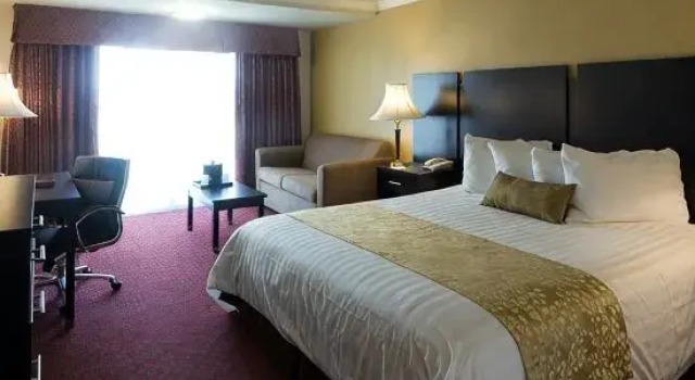 Трёхместный полулюкс Best Western Plus South Bay Hotel
