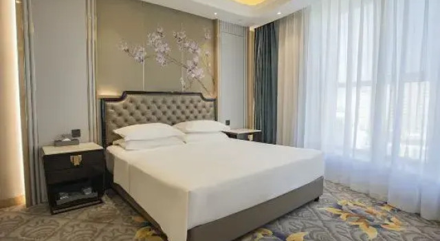 Люкс Executive Sino Italian international Xinglu Hotel