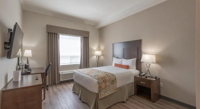 Номер Standard Coast Oliver Hotel