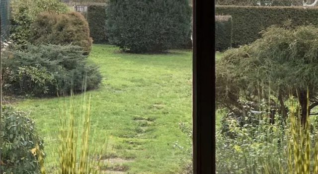 Gästehaus Zur Traube, Boek Hotel Perl 