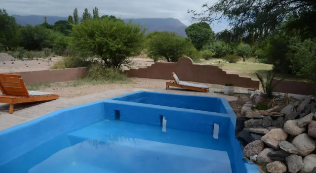 El Zorro Gris
