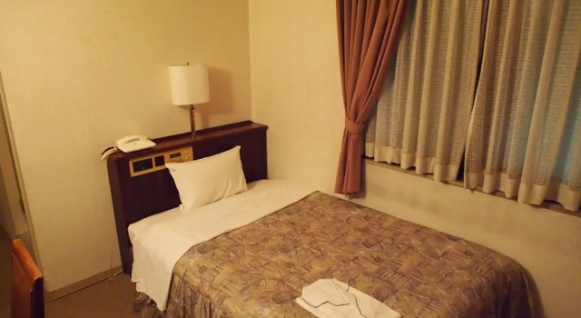Одноместный номер Standard Business Hotel Shusenkaku