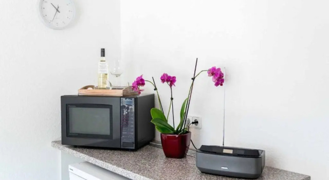 Apartamento 1 dormitorio Ferienwohnung Münch