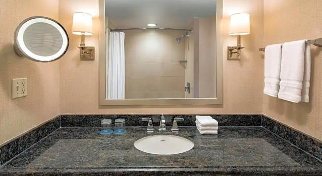 Двухместный номер Standard с балконом и с видом на город Sheraton Norfolk Waterside Hotel