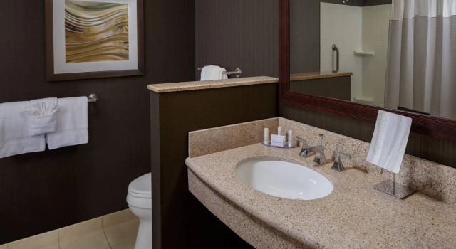 Двухместный номер Courtyard By Marriott Houston Medical Center Reliant Park