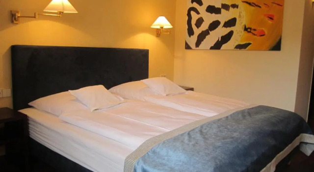 Двухместный номер Comfort Central Hotel
