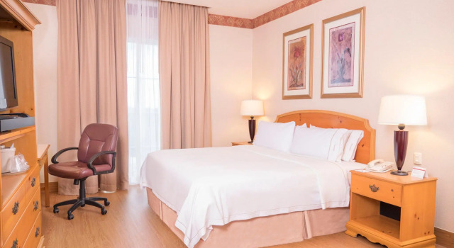 Двухместный номер Standard Holiday Inn Express Silao-Aeropuerto Bajio by IHG
