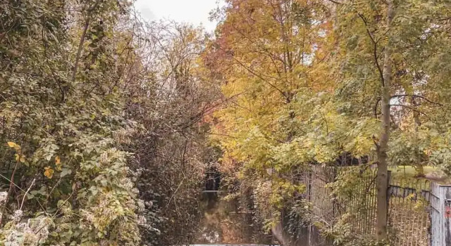 Апартаменты Charming 5 Star 3 Bed London Flat, Garden, Parking