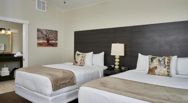 Люкс Carter Creek Winery Resort & Spa