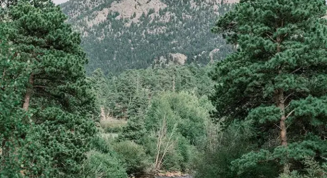 Люкс с балконом и с видом на реку The Landing at Estes Park