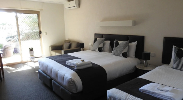 Люкс Premium Wine Village Motor Inn