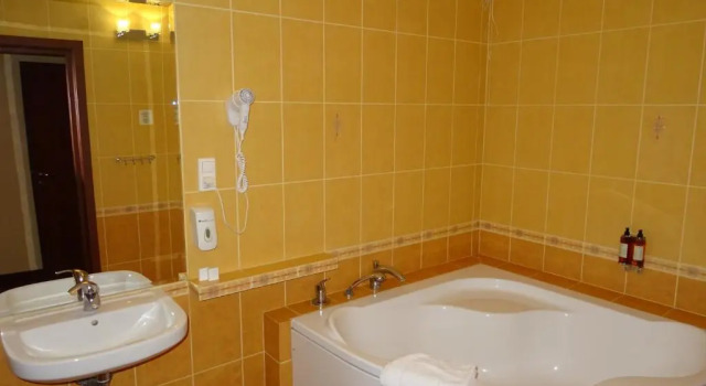 Двухместный номер Comfort Hotel Bartis