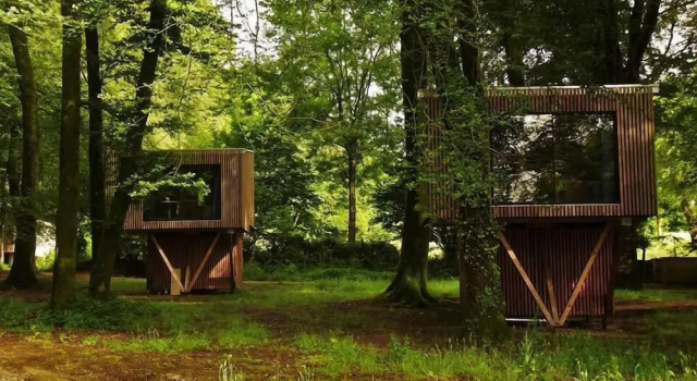 Номер Standard Létape en forêt