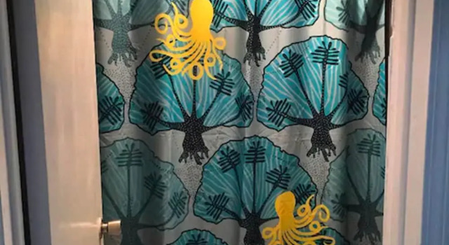 Номер Standard Olga's Fancy