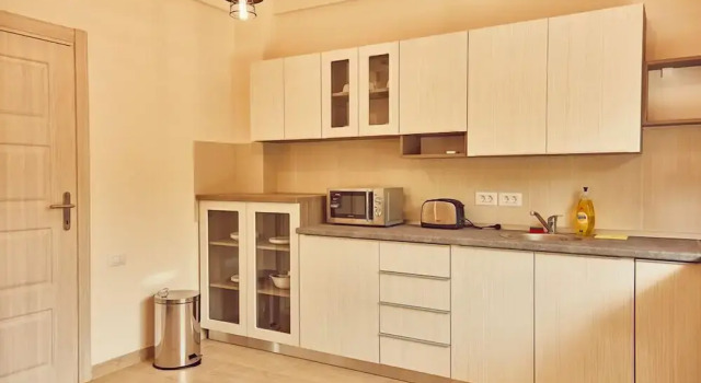 Студия Classic Vila Iulia