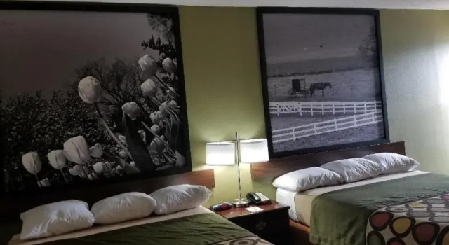 Четырёхместный номер Standard Super 8 by Wyndham Bellefontaine