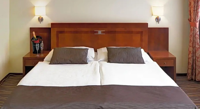 Номер Standard Luxury Family Hotel Bílá Labuť