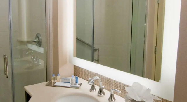 Номер Standard DoubleTree by Hilton Dulles Airport-Sterling