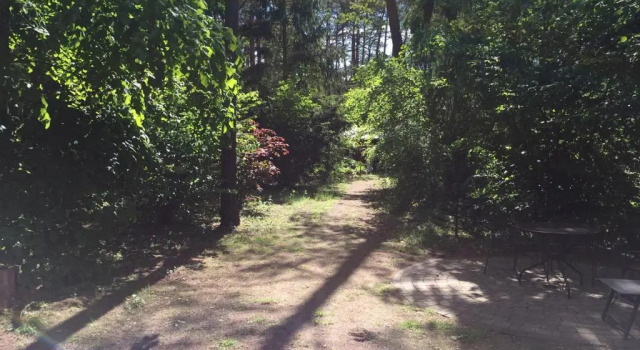 Cottage Wald und Wohlsein