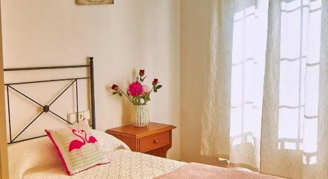 Одноместный номер Standard Hostal Restaurante La Niña