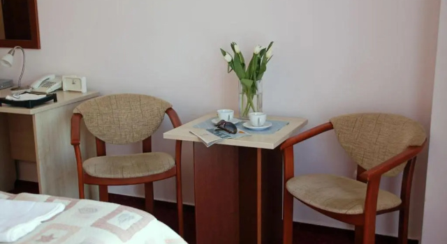 Двухместный номер Standard Hotel Aleksander