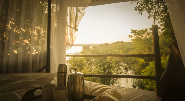 Rubondo Island Camp - All Inclusive, Réserver Hôtel Rubondo Island Tanzanie