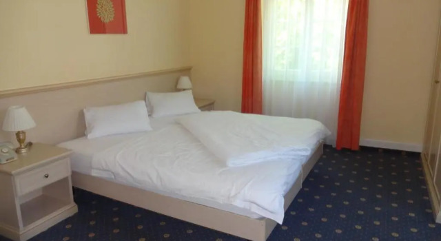 Двухместный номер Standard Hotel Schweizerhof