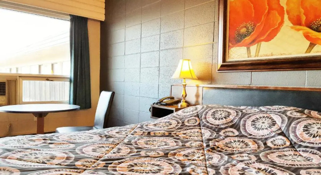 Одноместный номер Standard Westport Inn