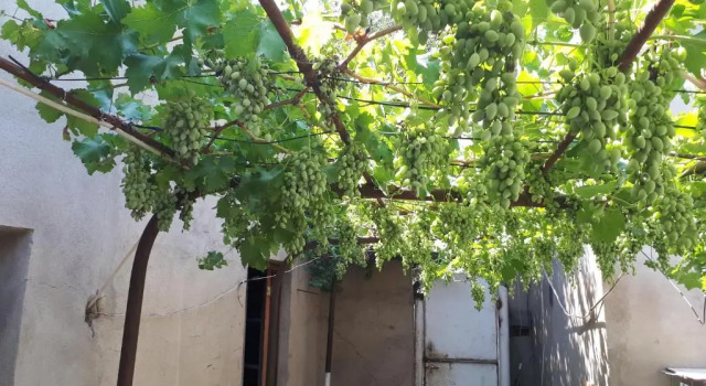 Diaoxi Guest House, Prenota Affittacamere Tbilisi Tbilisi Region