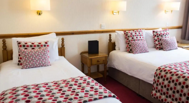 Номер Standard Hotel Sheraton