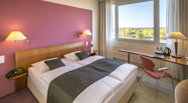 Двухместный номер Superior Globana Airport Hotel