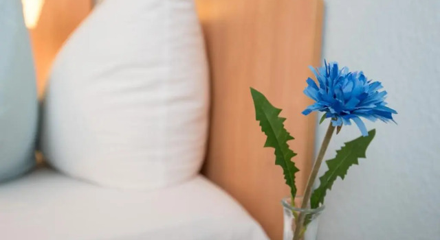 Номер Standard Residenz Hotel Wuppertal Barmen