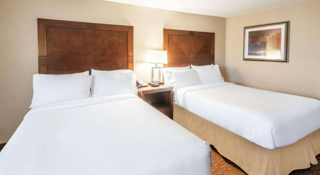 Четырёхместный номер Standard Holiday Inn Frisco by IHG