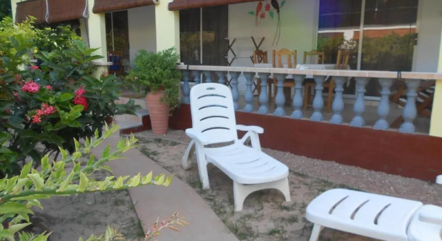 Camera Standard Pension Hibiscus