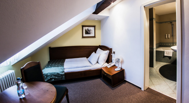 Hotel Dvorak