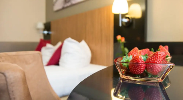 Одноместный номер Standard Hotel Munich City