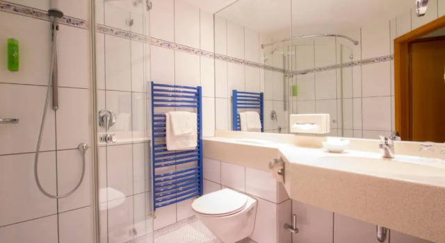 Одноместный номер Standard Hotel Rio Karlsruhe