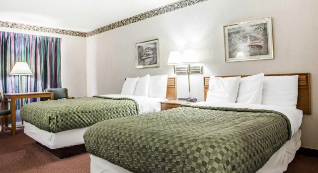 Четырёхместный номер Standard Red Roof Inn Stroudsburg
