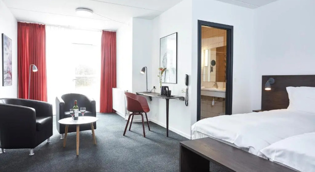 Двухместный номер Standard Цокольный этаж Skaga Hotel
