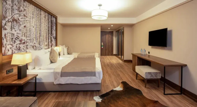 Номер Superior Dorukkaya Ski & Mountain Resort