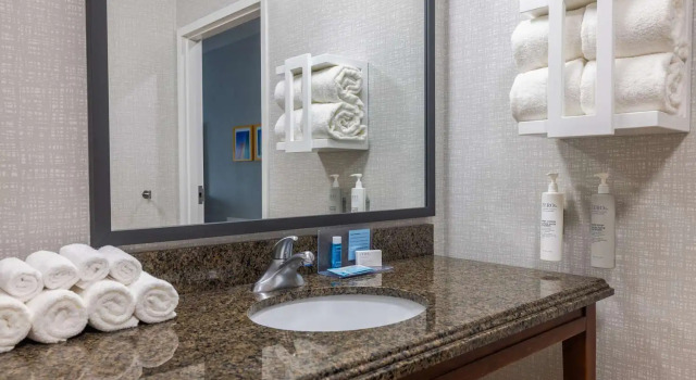 Номер Standard Hampton Inn & Suites Brenham