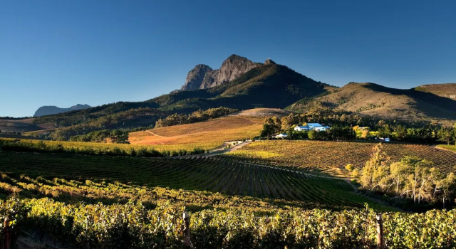 Номер Superior Marianne Wine Estate
