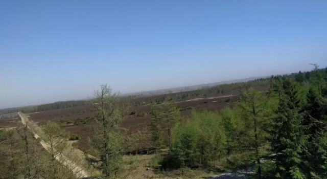 Коттедж 4 Star Holiday Home in Hovborg
