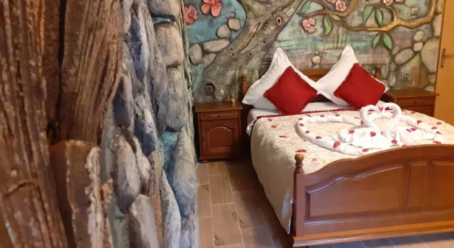 Двухместный номер Standard Pensiunea Dracula & Spa