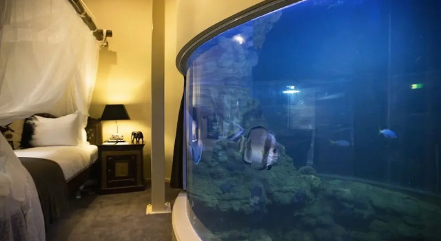 Двухместный номер Standard с красивым видом из окна Jamala Wildlife Lodge