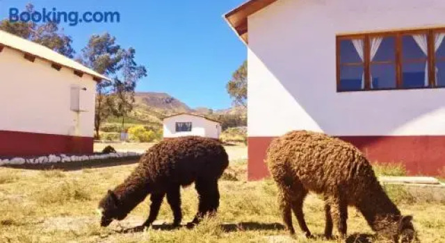 La Chakana Lodge, 预订 酒店 普特雷 Arica y Parinacota