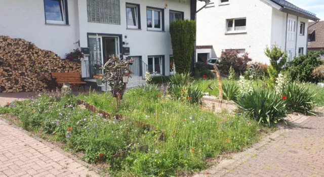 Ferienwohnung 43qm Torf 10 nähe Möhnesee, Book Hotel Warstein Sauerland