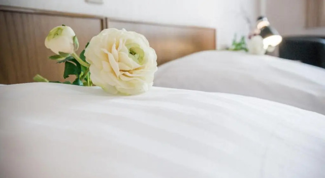 Номер Standard Hotel Hilling