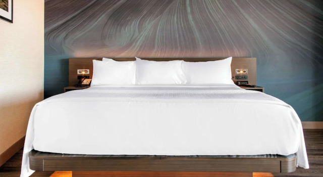 Номер Standard c 1 комнатой Hilton Garden Inn North Phoenix Scottsdale