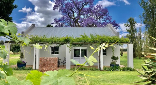 Двухместный семейный номер Standard Saronsberg Vineyard Cottages